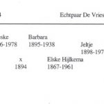 Fam de vries namen